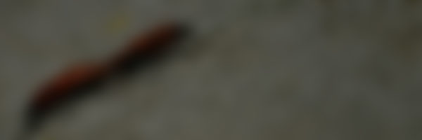 anona-slider-1